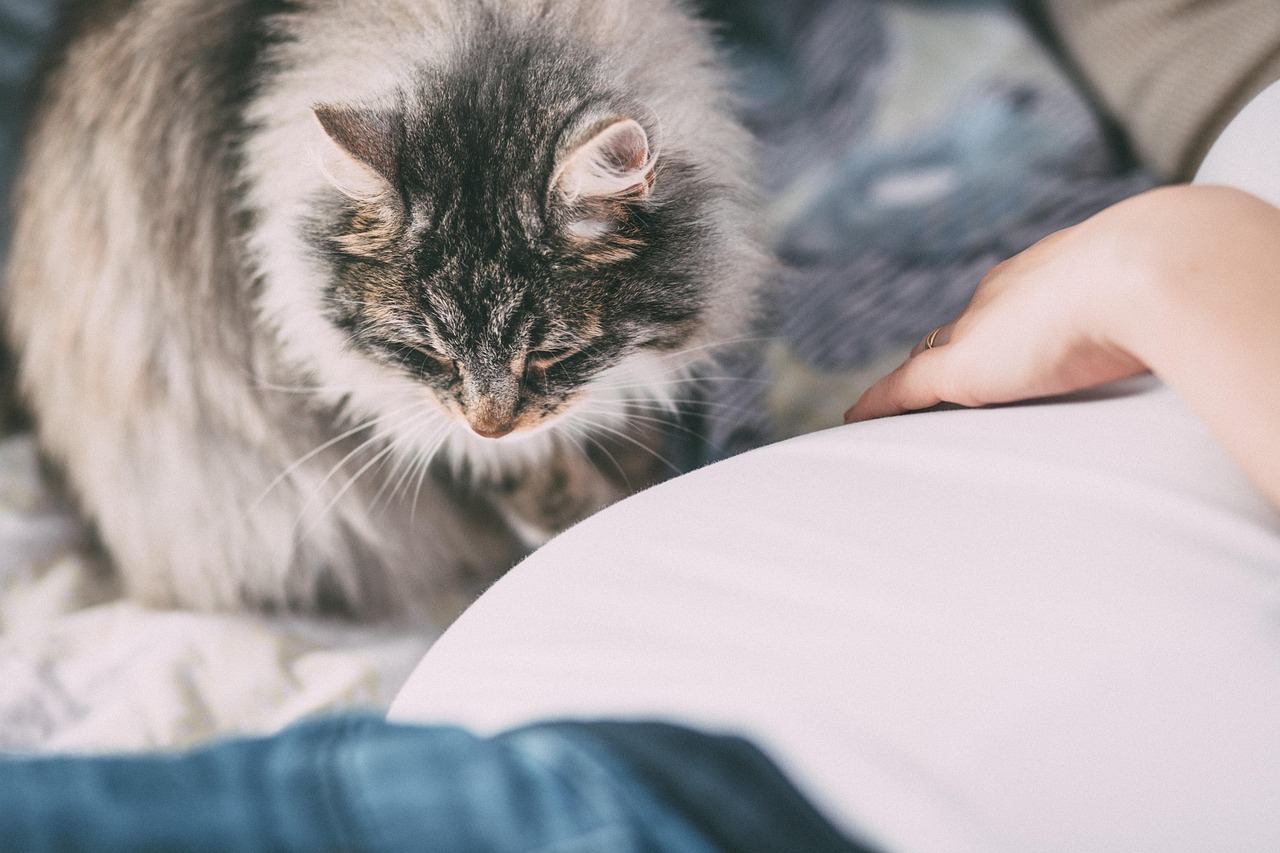 Indoor Allergens: Creating a Healthy Home Environment